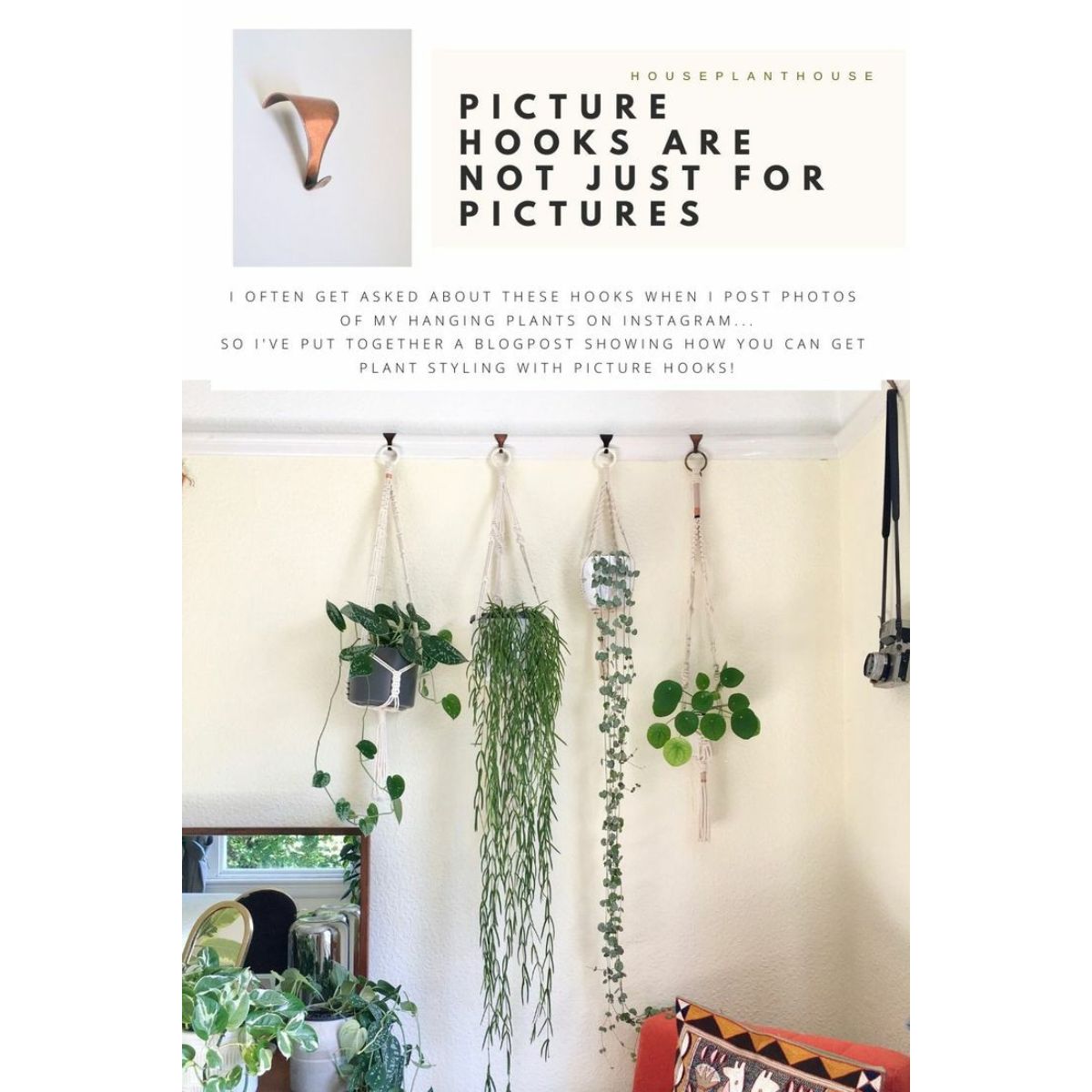 Picture Rail Hook
