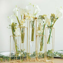 Load image into Gallery viewer, Test Tube Vase 6
