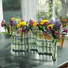 Load image into Gallery viewer, Test Tube Vase 6
