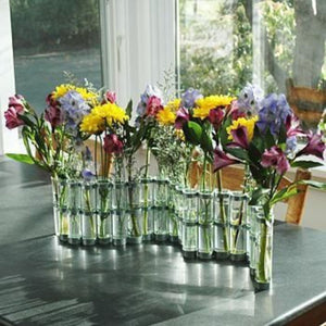 Test Tube Vase 6