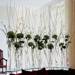 Test Tube Vase 6