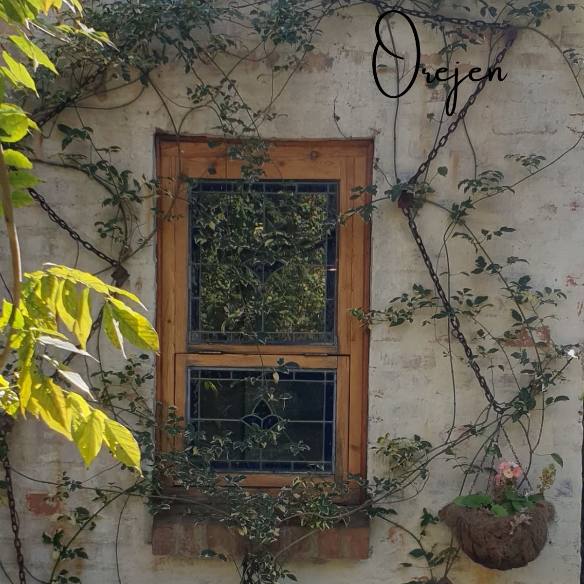 Sash Windows