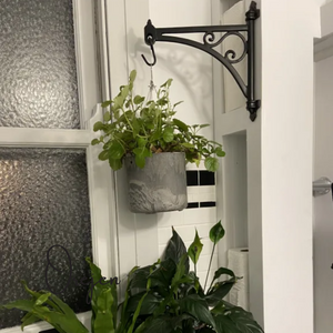 Bracket with Plant Hook