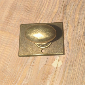 Large Oval knob on Large Oblong Escutcheon.