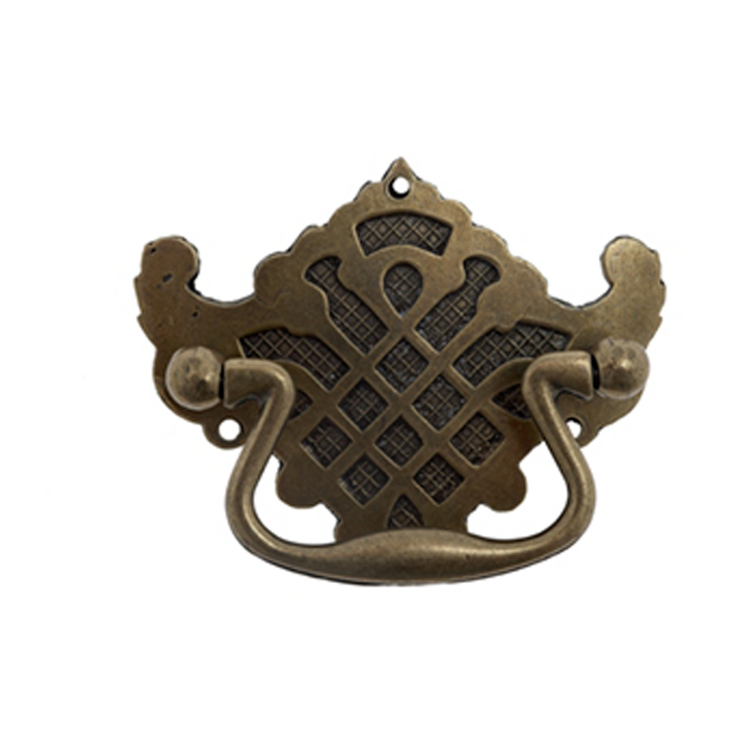 Pull Handle on Backplate 13830