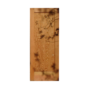 Internal Door