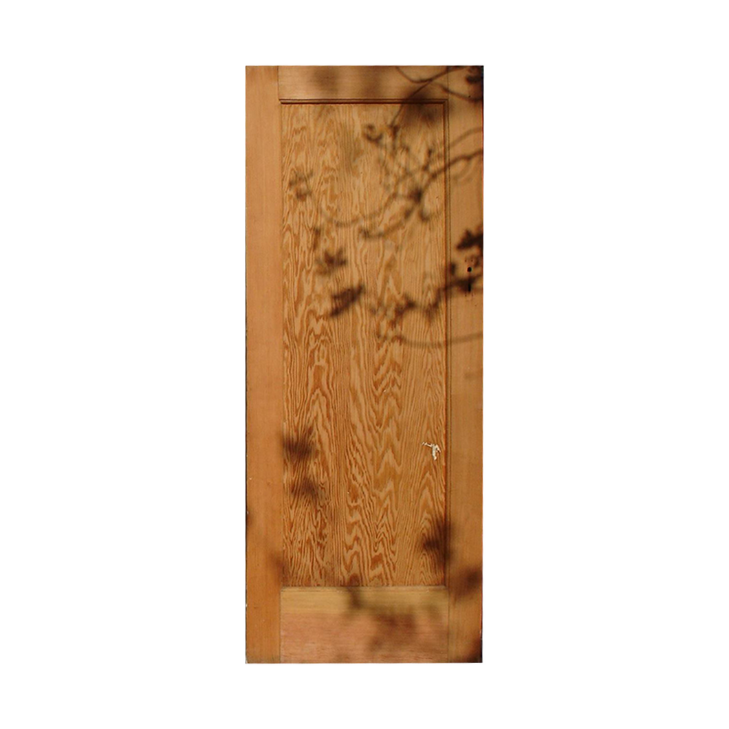 Internal Door